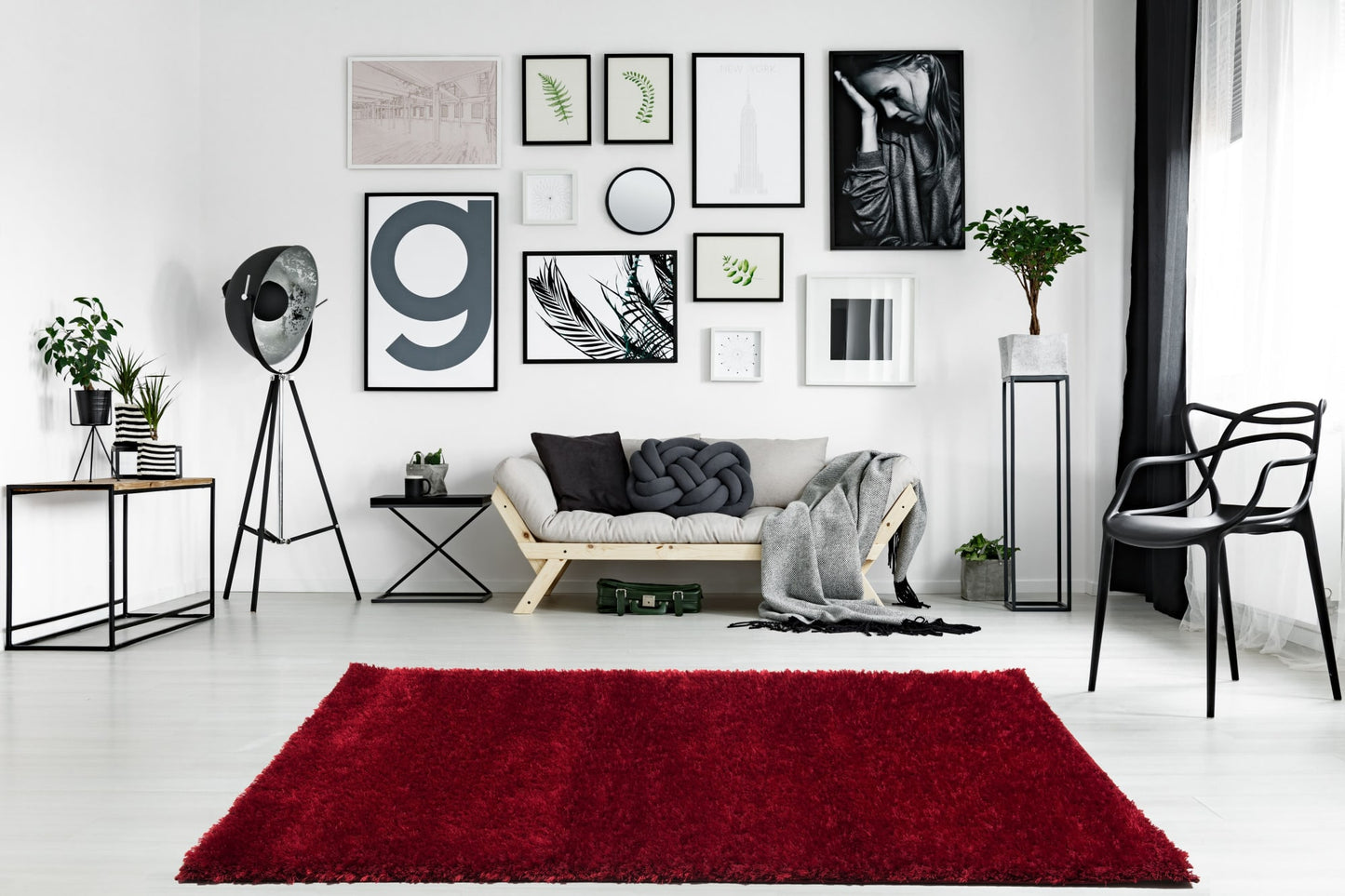 Harry Rug Red