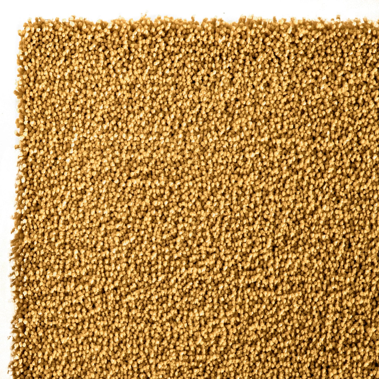 Mia 800 Rug