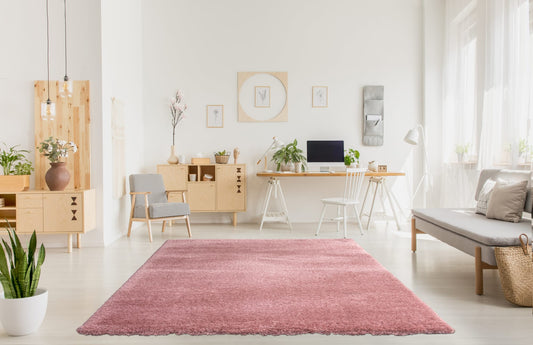 Noah Coral Rug