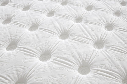 Soho Plush Velvet