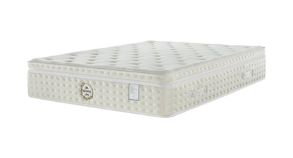 Regent Luxury High
