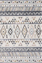 Leo Rug 1 - 115A